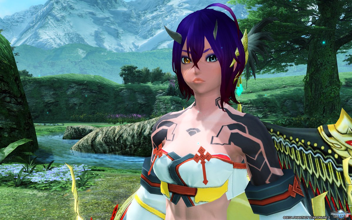 SpiritGriffon's tweet photo. This is my entry into the #PSO2giveaway ! I wasn't sure whether a closeup or a full view of her would be better, but they're the same outfit~ https://t.co/exXKMmHcaC