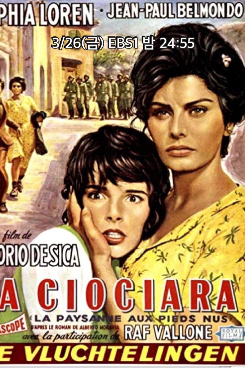 **EBS다큐&영화** 🎬2021 영화 편성표(3/26-28)@ebsmovie1 #두여인 #필라델피아 #크레이머데크레이머 #거북이달린다 #주말의명화 #세계의명화 #영화추천...