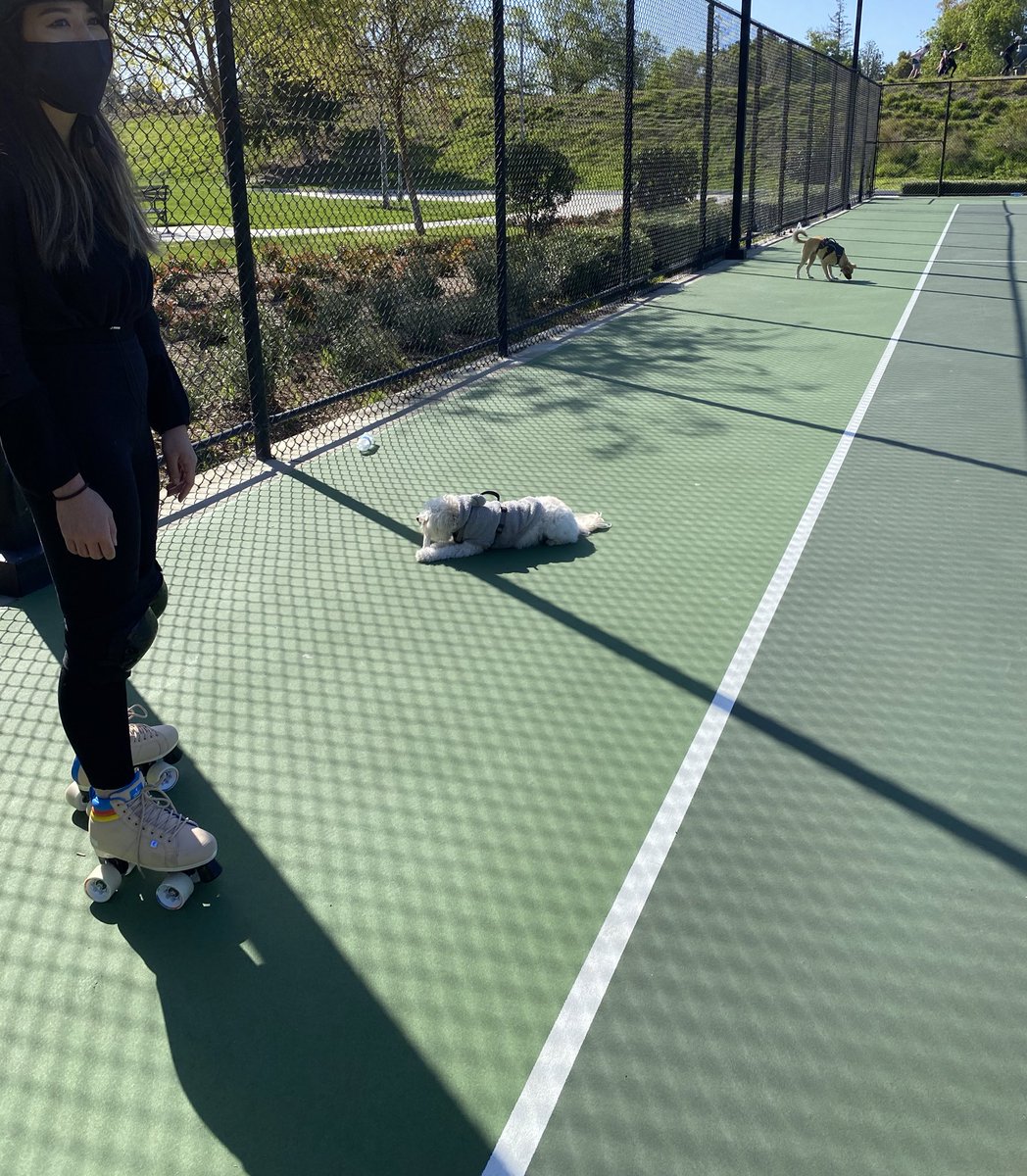 malia_carter's tweet photo. Today we did flower makeup, brought our dogs and bubble machine to skating 💕🌻 https://t.co/AyJubqaVYw