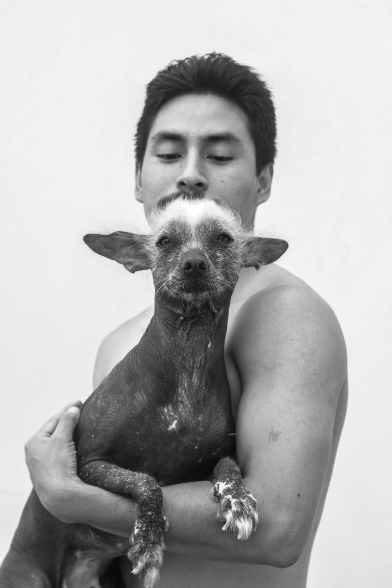 LuisVegaCabrera's tweet photo. Par de calatos.
.
.
#portrait #retrato #autorretrato #dog #bw #bn #blackandwhite #blancoynegro #bnw #bwphotography #bwphoto #monocrome #blackandwhitephotography #instamoment #instabw #animal #eyes #pet https://t.co/wDtXDlc7Ic