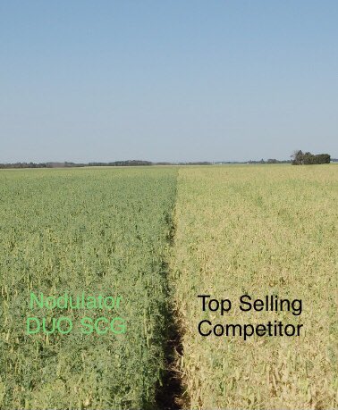 bforsber's tweet photo. You’ve watched the markets, selected the right fields, did the work, your all in. #WeCreateChemistry @BASF and our products stand tall and finish strong, from farm to field. #InsurePulse #NodulatorDuoSCG #HeatLQ #ViperADV #PeasPlus #Dyax and now #Cotegra https://t.co/zyfpsO0gxG