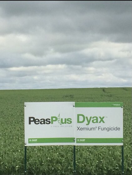 bforsber's tweet photo. You’ve watched the markets, selected the right fields, did the work, your all in. #WeCreateChemistry @BASF and our products stand tall and finish strong, from farm to field. #InsurePulse #NodulatorDuoSCG #HeatLQ #ViperADV #PeasPlus #Dyax and now #Cotegra https://t.co/zyfpsO0gxG