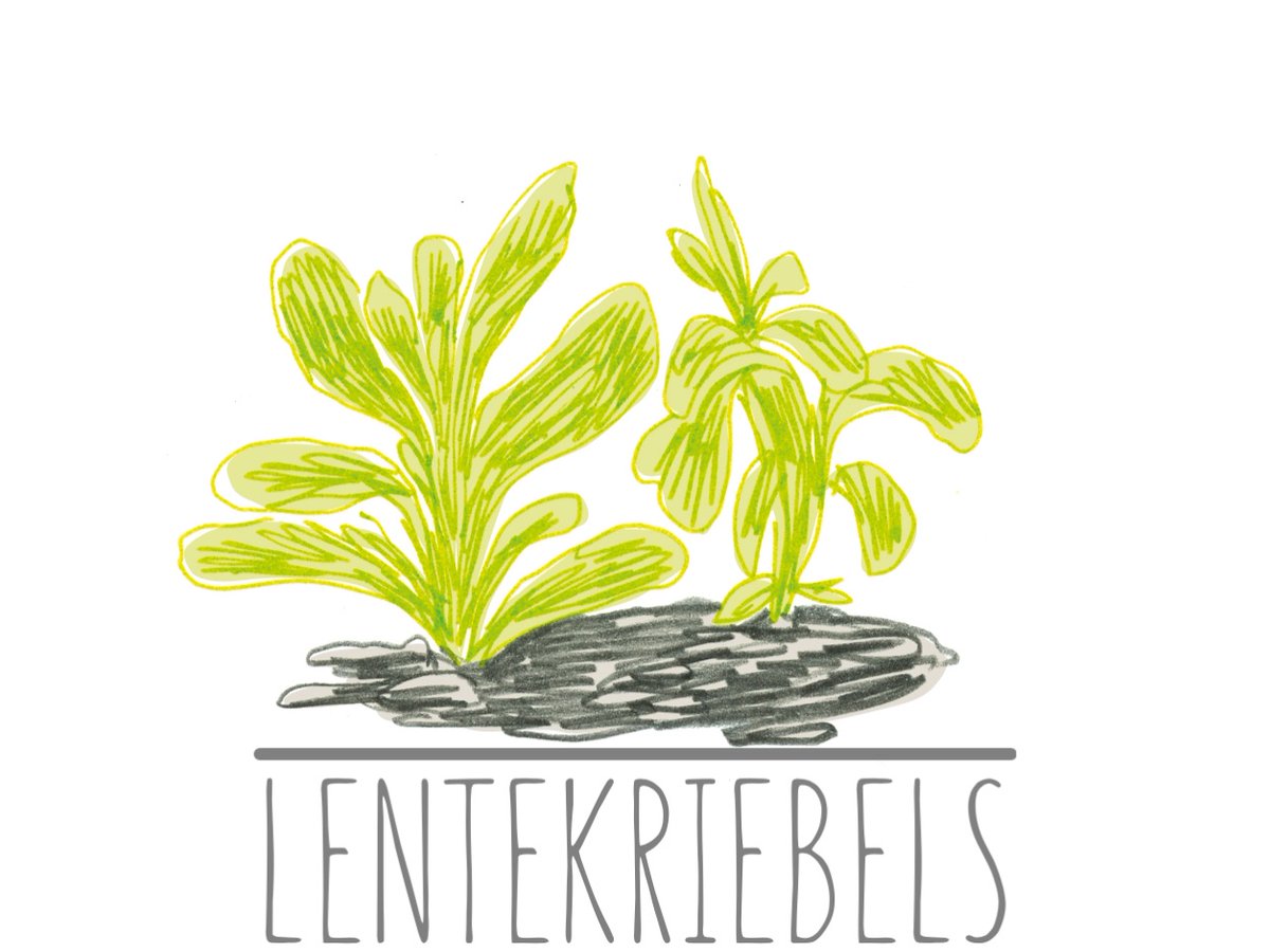 🌱🌱Natuur &amp; Verbinding  🌿🌿 de lente komt eraan - Doe de tuintest &amp; in 9 stappen je eigen kruidentuin mailchi.mp/e2ce23a9dfcd/n…