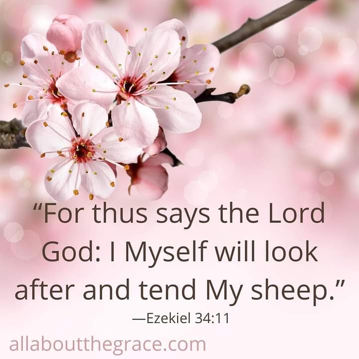 Happy Sabbath! #Feelingblessed🙏