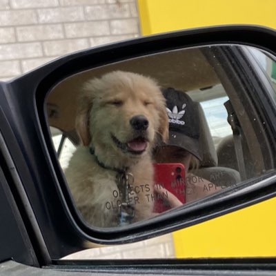 zoevaassen's tweet photo. #NewProfilePic https://t.co/REpLxdOwNw