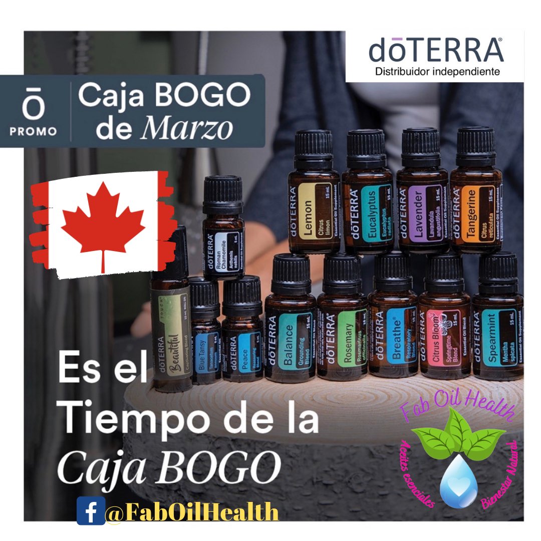 OilFab tweet picture