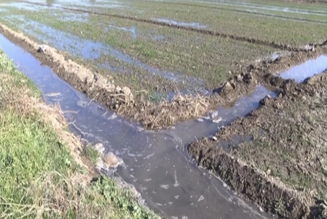 22 Mart Dünya Su Günü

📌Bugün,doları konuşmaktan suya sıra gelmeyebilir

📌Türkiye su zengini değil,suyu zengin gibi harcıyor

📌Suyun yüzde 77’si tarımda kullanılıyor

📌Su ve iklim değişikliğini dikkate almayan hiçbir tarım politikası başarılı olamaz!
📌Her damlası çok değerli