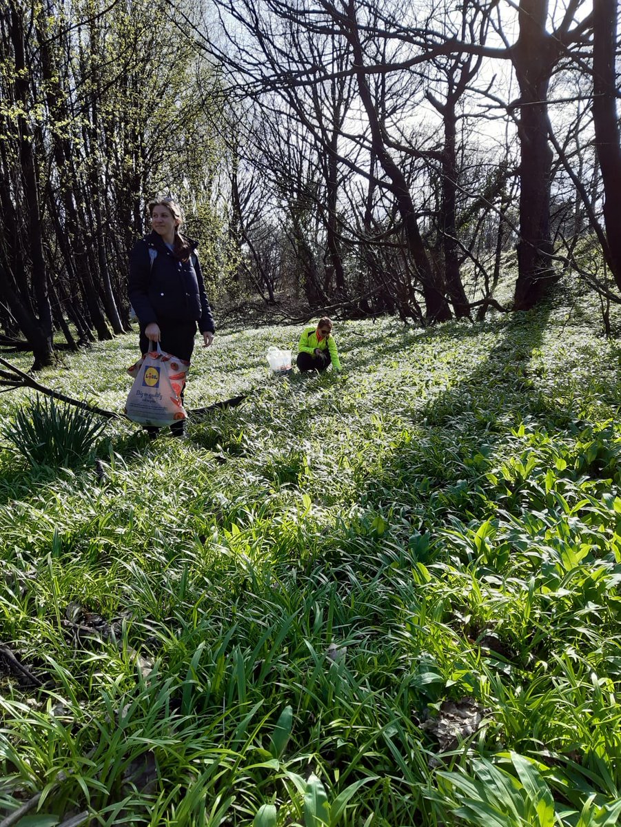 SoonForget's tweet photo. Productive weekend:
- Bought a bike
- Met a friend for a walk 
- Saw an otter in the Clyde 
- Went on a ride to pick up wild garlic
- Got a sore butt
- Made wild garlic pesto
- Ate wild garlic pesto https://t.co/qYbGOIjuBV