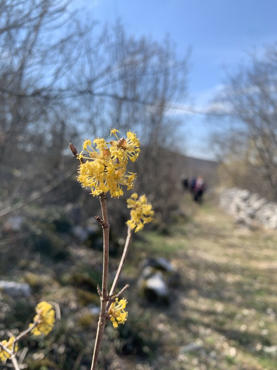 CampingBiokovo's tweet image. Short drive from the campsite to Dugopolje, to explore Kraljeva pec cave.