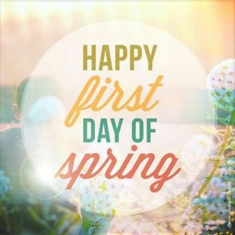 Sophia_Topali's tweet photo. #WelcomeSpring #SpringIsComing #hellospring #spring #springbreak2021 #SpringTime #SpringBreak #Spring2021 #Spring21 #firstdayofspring #FirstDayOfSpring2021 https://t.co/Vp3csgC6kD