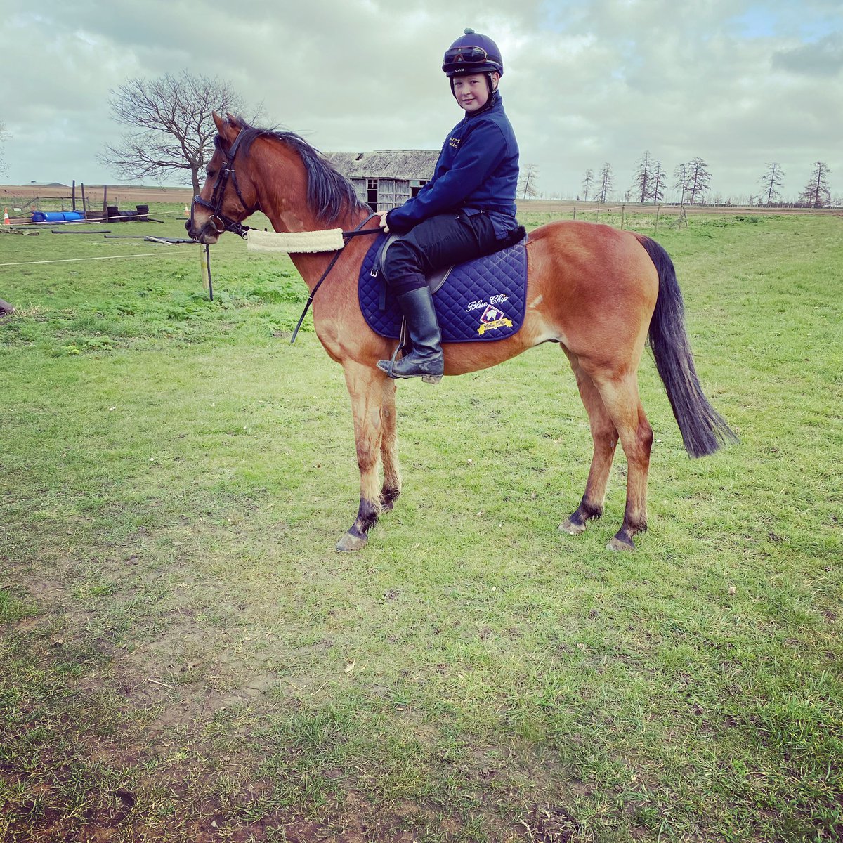 ArcyArron's tweet photo. 11days #ponyracing #higham #racingpony #pointtopoint https://t.co/fDw2GXIGIE