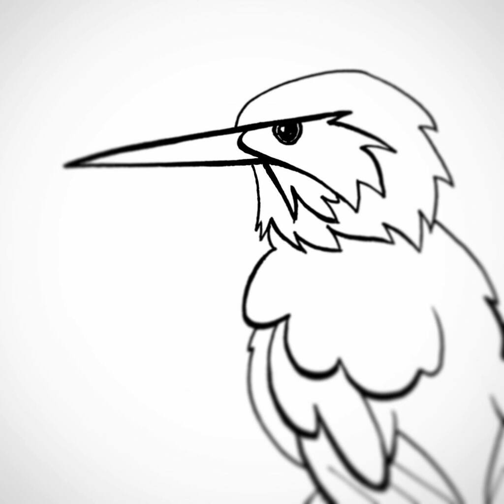 GB_COMICS's tweet photo. Kingfisher #DrawLent https://t.co/OgkM0ZQBtT https://t.co/8JERlVLs4e