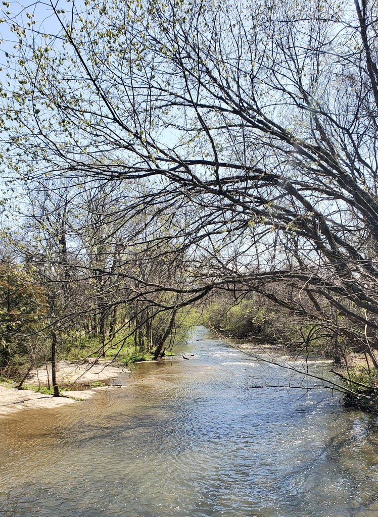 JWisdomMartin's tweet photo. What an awesome God we serve🙏🏾
#TennesseeSpring #Spring2021 https://t.co/jOoOKSlZcD
