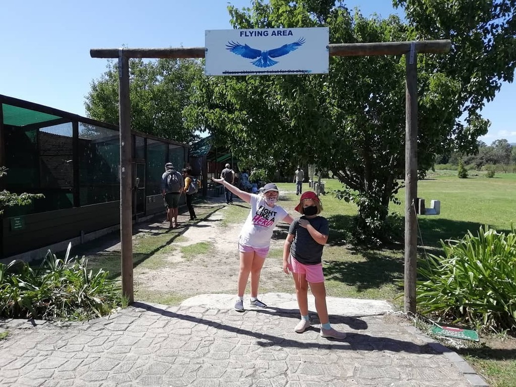 craiglotter's tweet photo. When at Spier with kids, you are pretty much obligated to go and learn about birds of prey at Eagle Encounters! #birdsanctuary #birdsofprey #raptors #eagleencounters #spierwinefarm #spier #stellenbosch #southafrica #anexploringsouthafrican https://t.co/y86IOZTDUK https://t.co/dxdNnWf98p