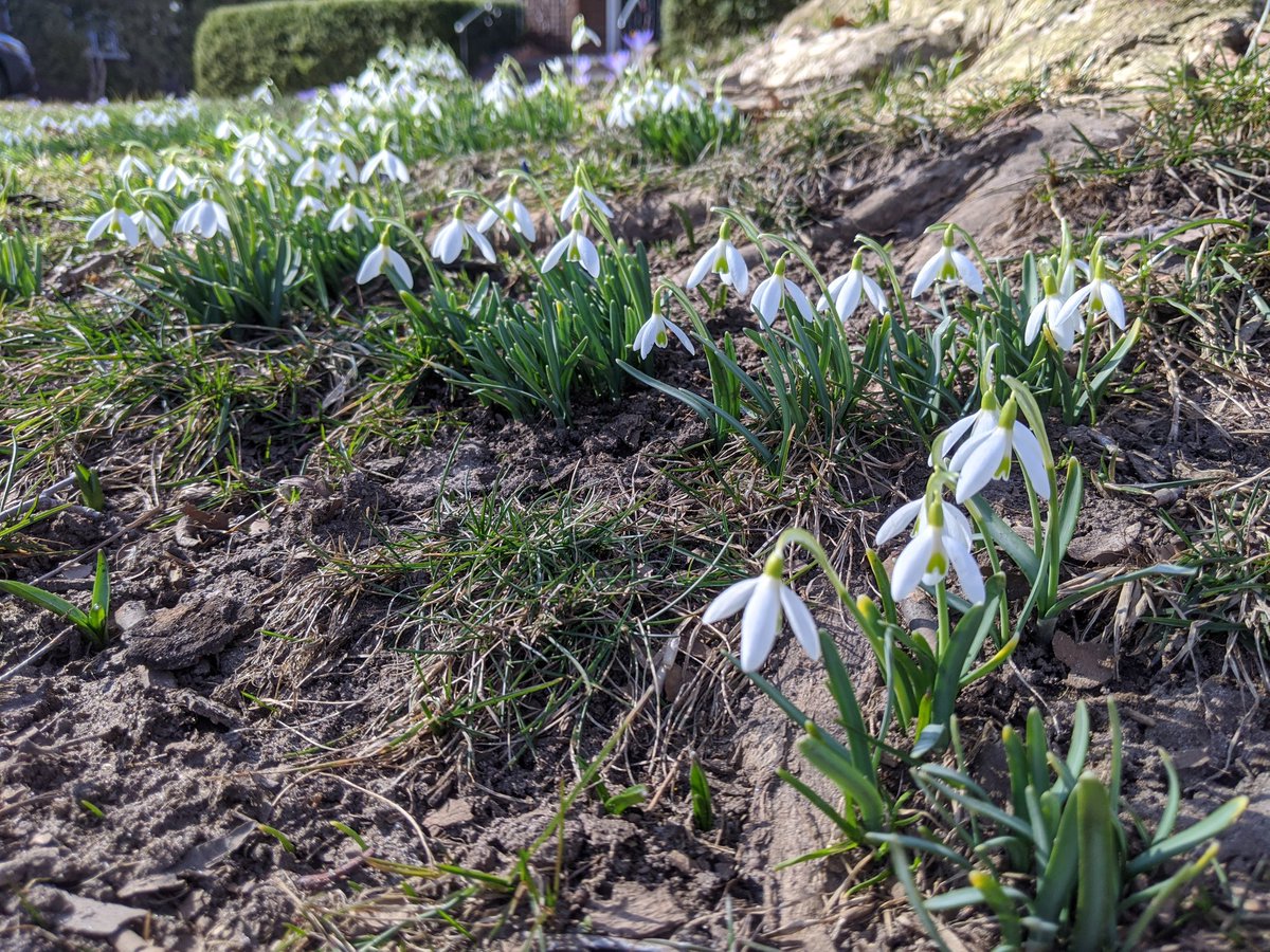 Bethanie_Ryan's tweet photo. Blessed Ostara! For the solstice today, I tried to appreciate the little things that Spring offers... Like these guys! ❤️

#Syracuse #SpringEquinox #Ostara #witch #wicca #NewhouseMVJ #Newhousemilitary https://t.co/acbEaZTEDm