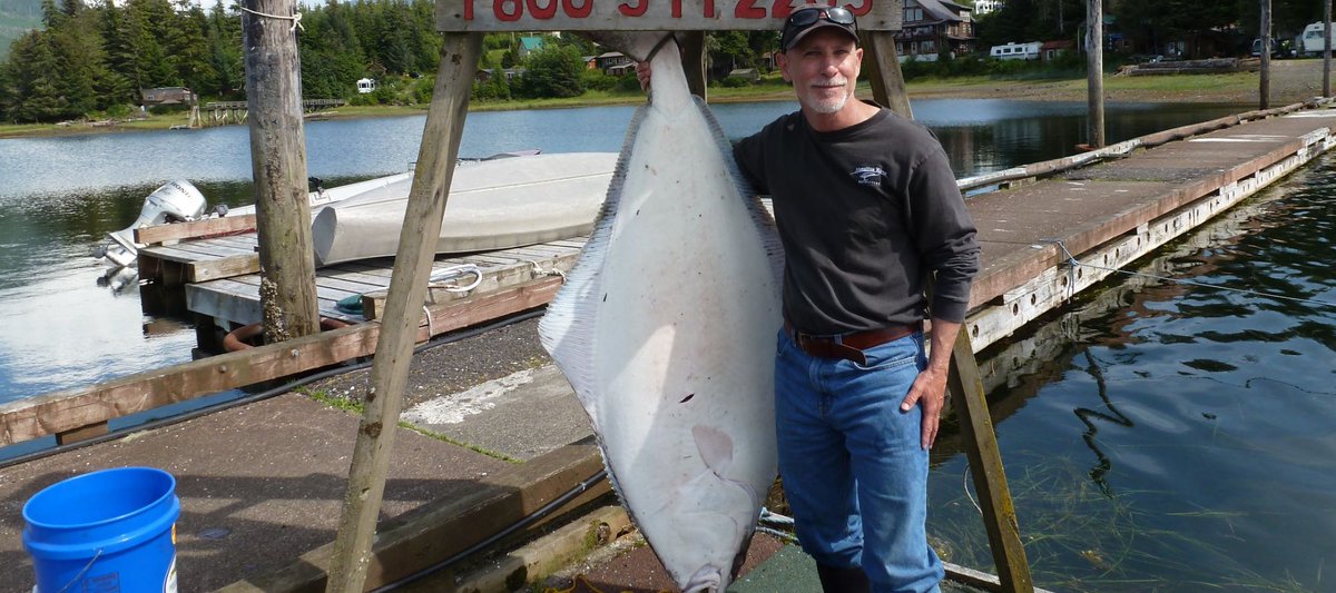 fishlodges's tweet photo. Trip Request #347: Single fisherman looking for a week of Halibut fishing anywhere in Alaska.

Does your lodge have availability? https://t.co/SbkBNBl23A

Post your own request for a fishing lodge vacation in the northwest: https://t.co/PUbFcFlweI https://t.co/NZJQnO0Ua9