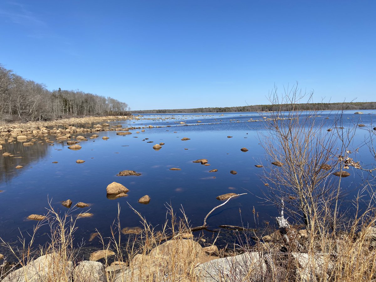 RiversideLearn's tweet photo. Anyone else excited that spring has sprung in New England? https://t.co/3LAkZMZ1re