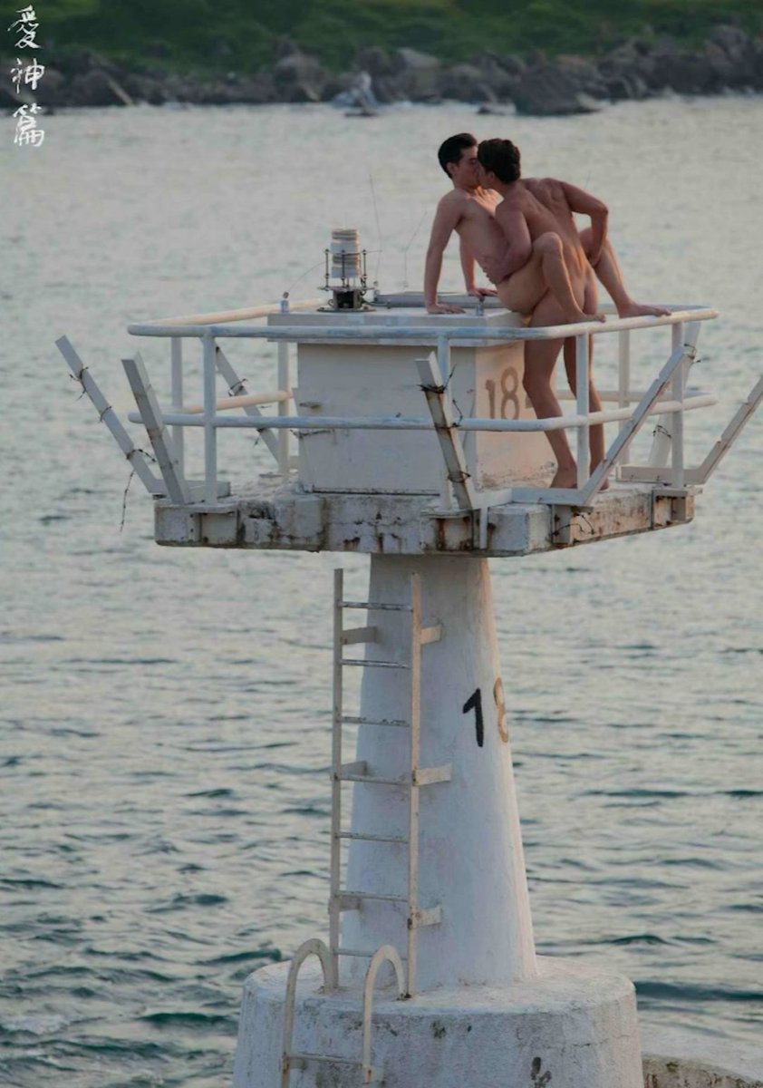 FOREST ALBUM 🏳️‍🌈 tweet media