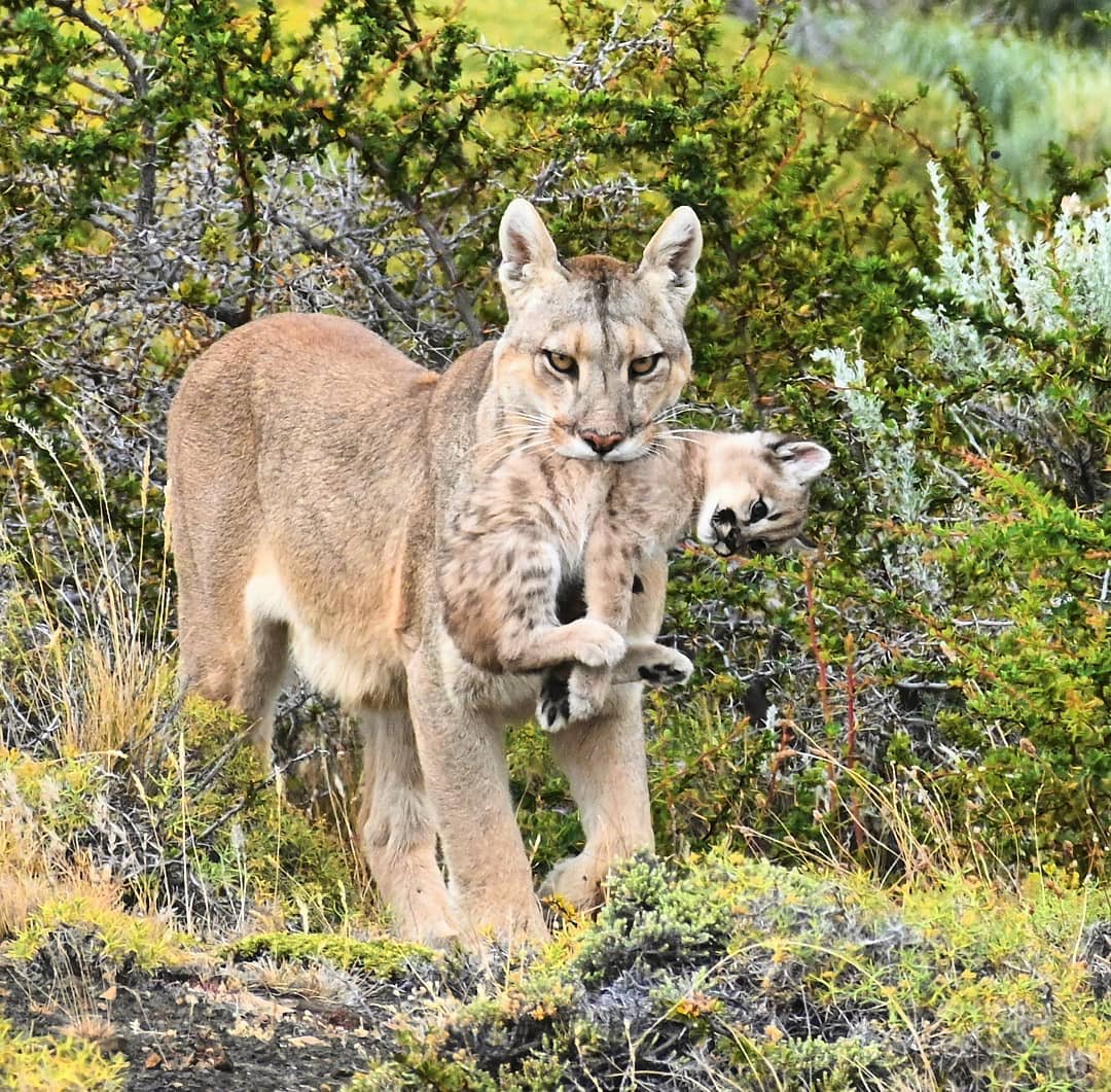 Liberal en lo económico, retrasado en lo mental tweet media