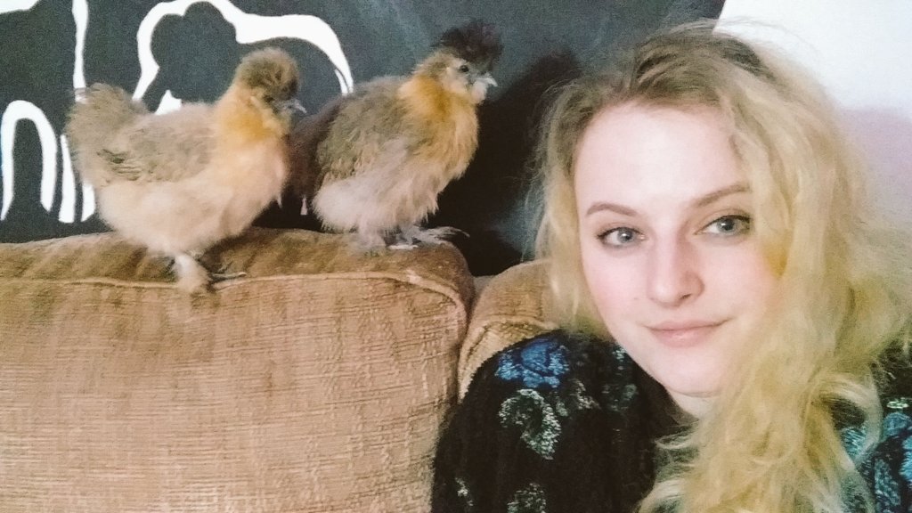 AllyRKJ's tweet photo. Dry days in Bangor mean Quarry hikes and visiting chickens 🏃🏼‍♀️🐥 https://t.co/WVGSt1g5Q6
