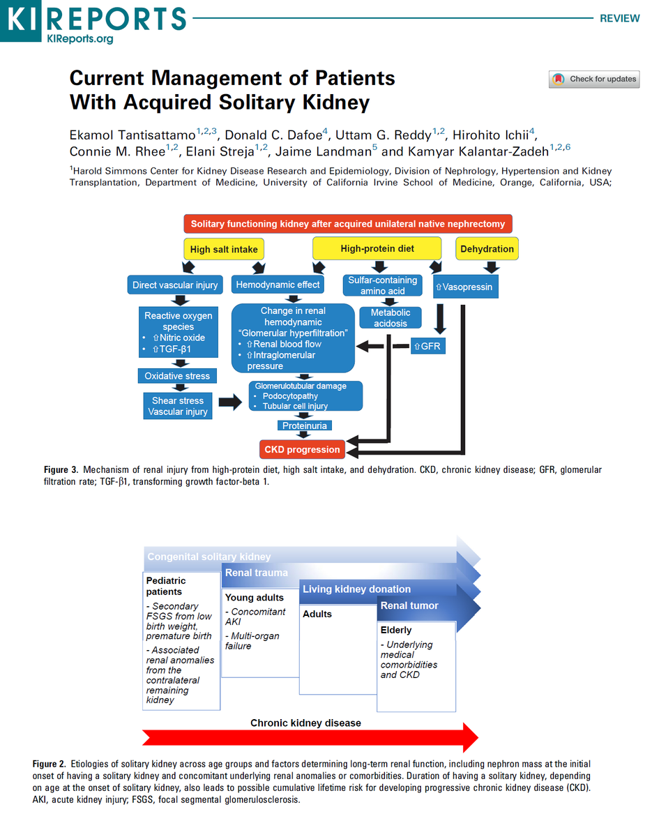 kamkalantar's tweet photo. Current Management of Patients With Acquired Solitary Kidney
1.avoid #HighProtein>1g/kg/d &amp; Na>4g/d 
2.more dietary fiber #PLAntDominant #PLADOdiet
3.BMI<30 kg/m2 (in non-athletes) 
4.judicious management of #CKD risk #HTN #DMDK 
#KidneyDonor #Nephrectomy 
https://t.co/I5t5AKV06l https://t.co/iAL4hU5l6Q