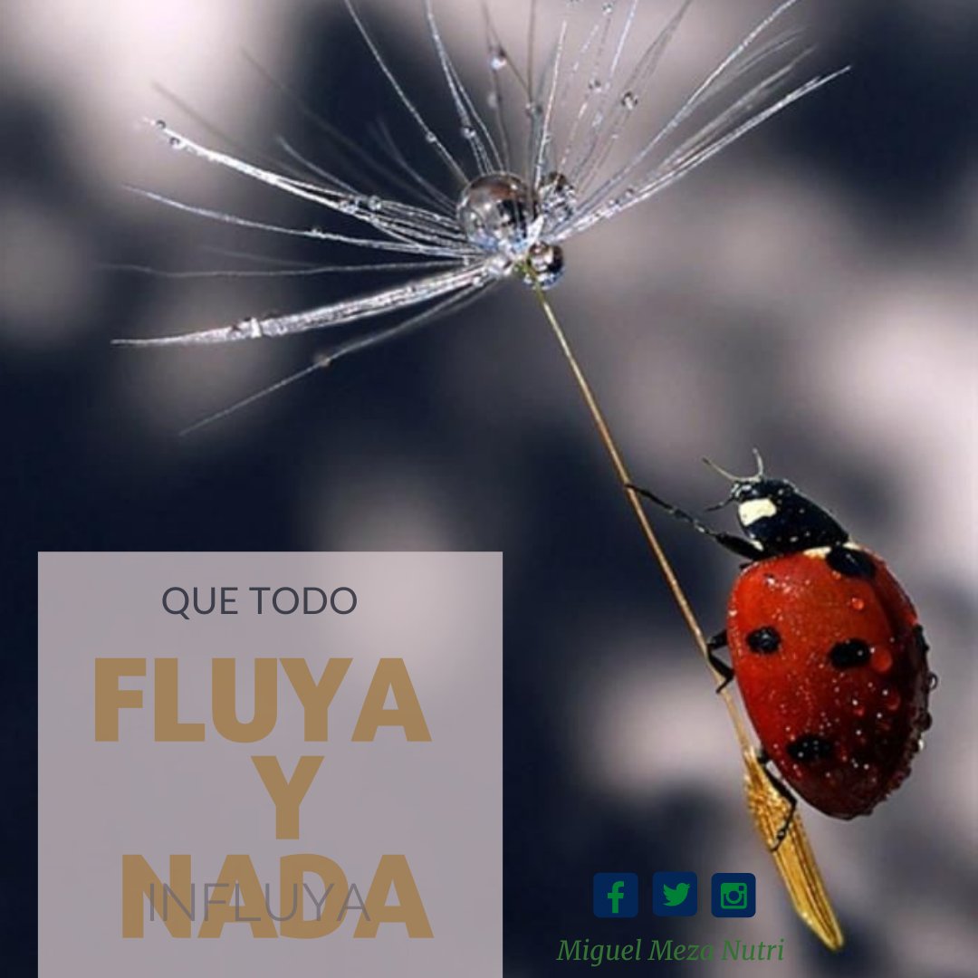 MiguelMezaNutri's tweet photo. Cuando te levantes por la mañana, piensa en el precioso privilegio de estar vivo, respirar, pensar, disfrutar y amar, Feliz inicio de Semana.
👨⚕️👨💻🍏🌈
#lunes #contodalaenergia #ConTodaLaActitud #fluya #influya #semana #alimentacionintuitiva #comeratentos https://t.co/enJOGXgVJE