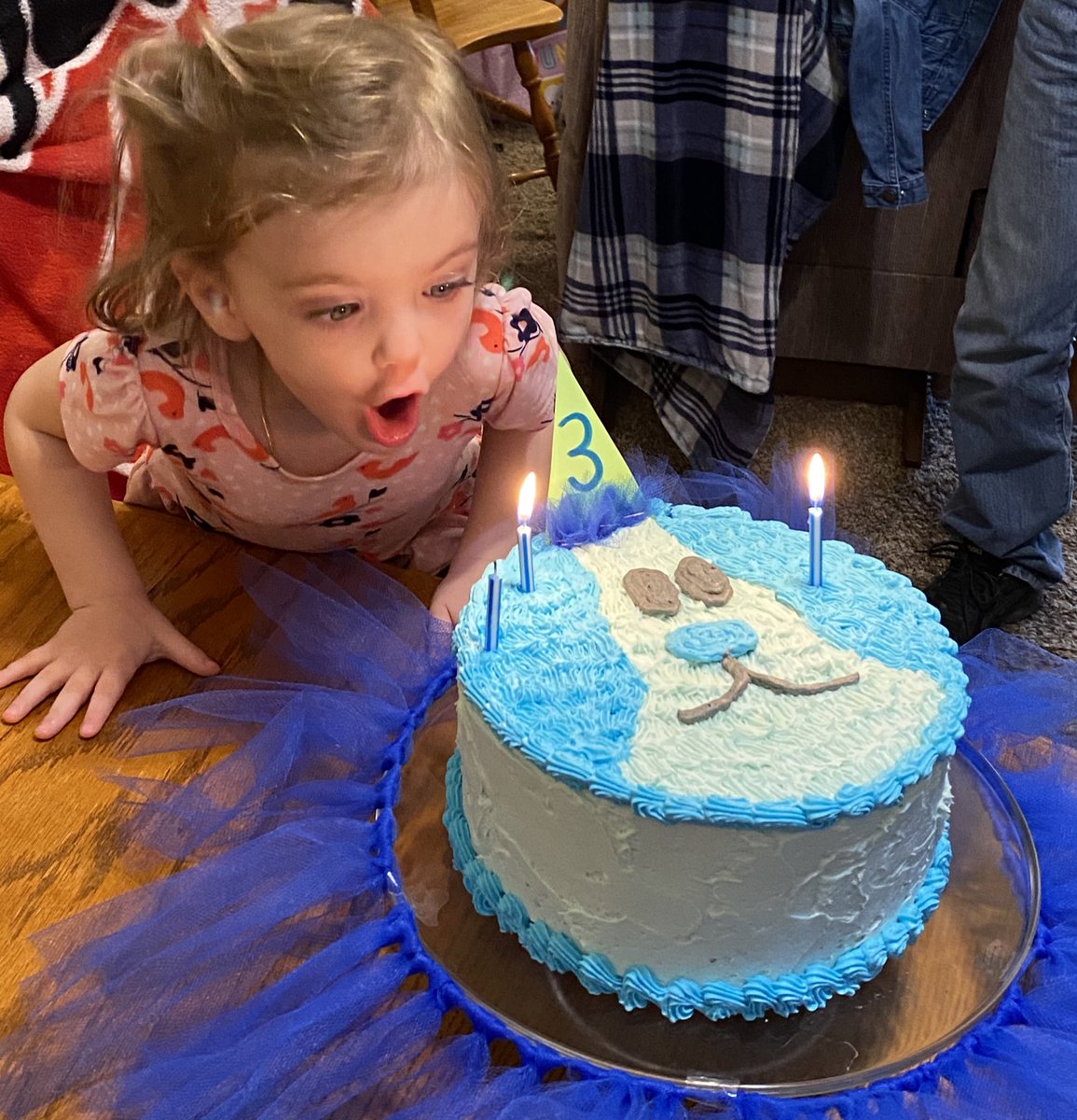 JoanRuskamp's tweet photo. Tried a cream sauce with beef meatballs today. Five star feedback and I didn't get a picture. 🙄 I did get a pic of the birthday girl, though 😊#meatonthemenu #recipe #betterwithbeef @CommonGroundNE https://t.co/26AkCHVD8p https://t.co/VUr1hcviDU