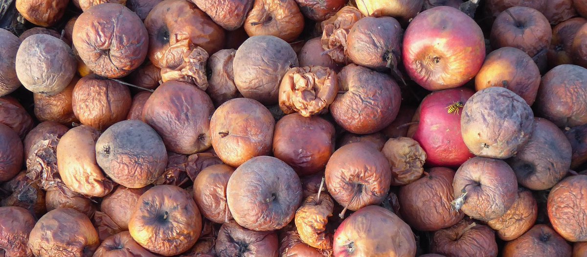 RT <a href="/McGillOSS/">McGill Office for Science and Society</a> What is the quality of the evidence we now have for #hydroxychloroquine, #ivermectin, and #convalescentplasma when it comes to #COVID19? mcgill.ca/x/onX