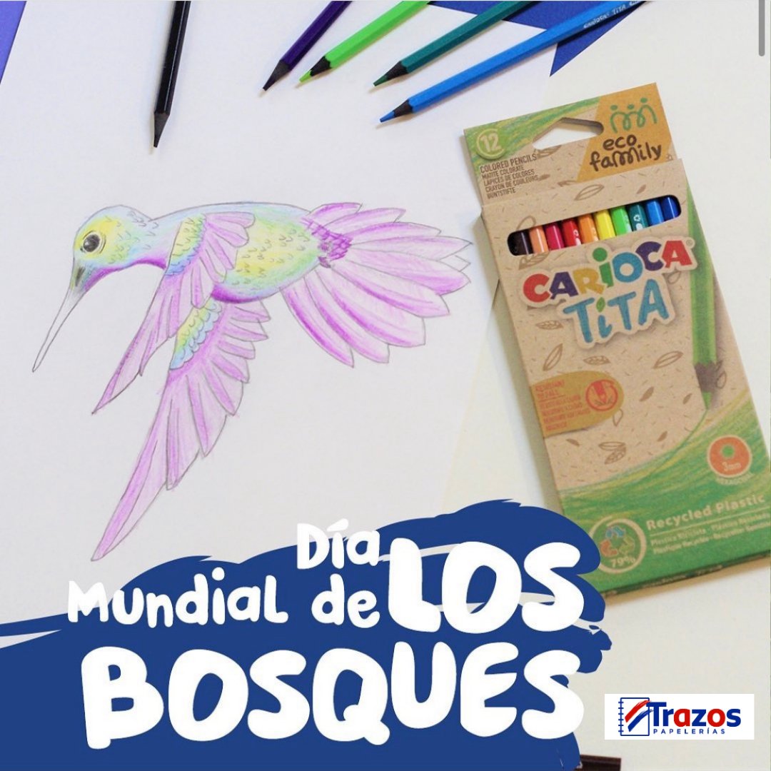 TRAZOS14's tweet photo. Hoy es el Día Mundial de los Bosques🌲, que dan color y limpian el aire que respiramos. En Trazos contamos con una gran variedad de productos elaborados con material reciclado.

#reciclar #diadelosbosques #kids #trazos #manualidades #arboles #porriño #tui #vigo #redondela https://t.co/Z1qsUfWleB