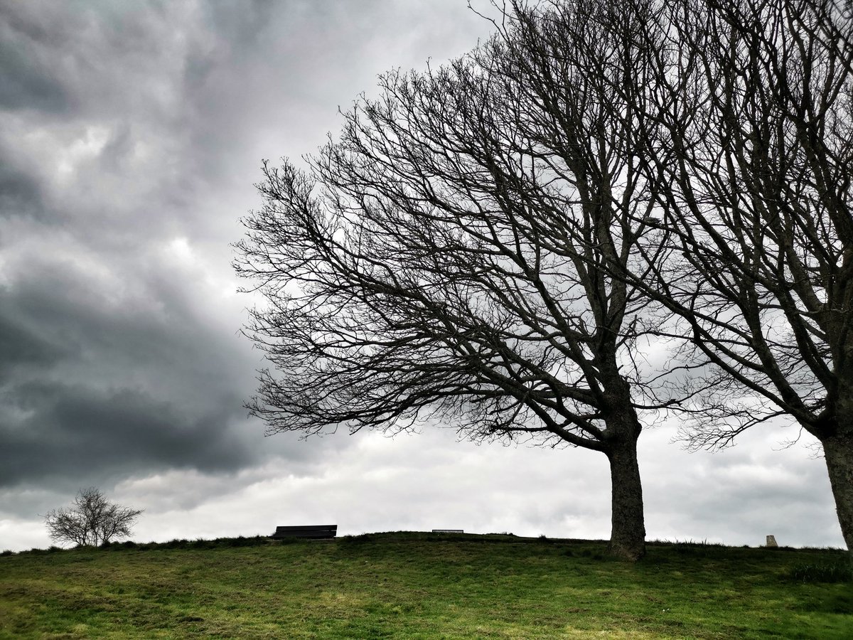 ShayNicol23's tweet photo. #mountpleasantredoubt #fortifications #bnwlandscapes #huaweimate20pro #lockdownexercises https://t.co/V05USsejrX