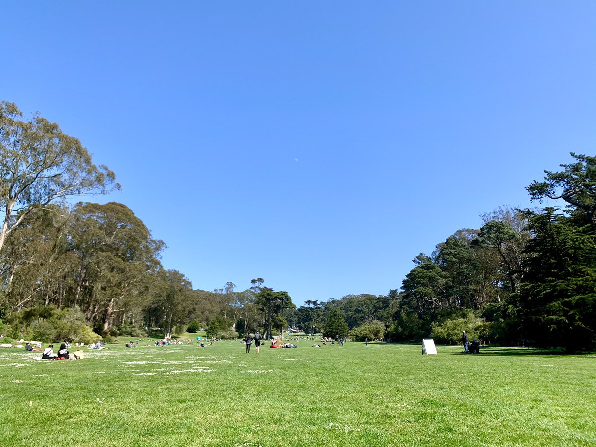 joelriddell's tweet photo. Sunshine - another glorious day in #onlyinsf - grateful to the gardeners, custodians, yard worker, tree trimmers and all who support #GoldenGatePark #RecParkSF including friends groups, volunteers the #SFParksAlliance and so many more! #getoutside https://t.co/gI1fB7lTit