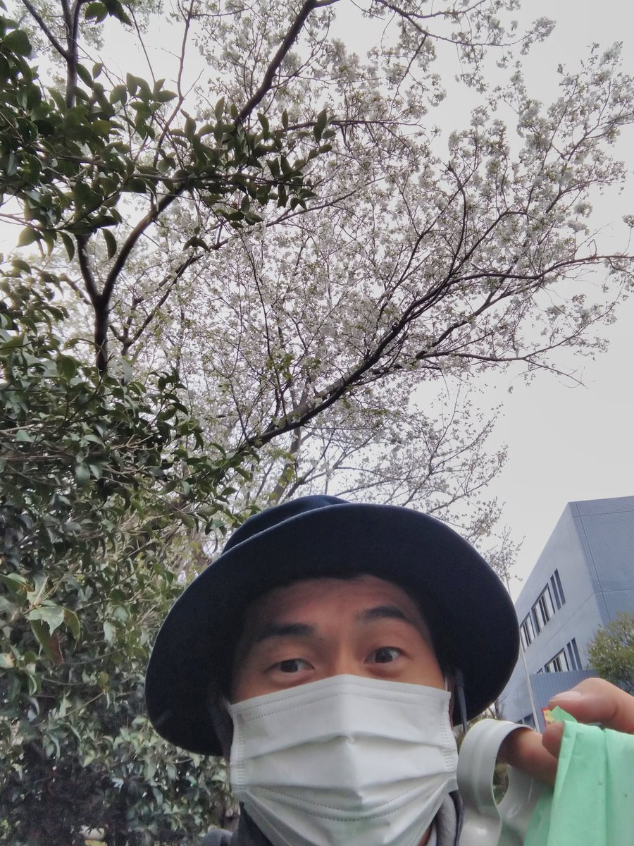 早朝ゴミ拾い６５回目。
桜が咲くと心も晴れやか。
最近花鳥風月の良さがわかってきたので老いを感じます。（おいおい←）
今日もお疲れ様です！