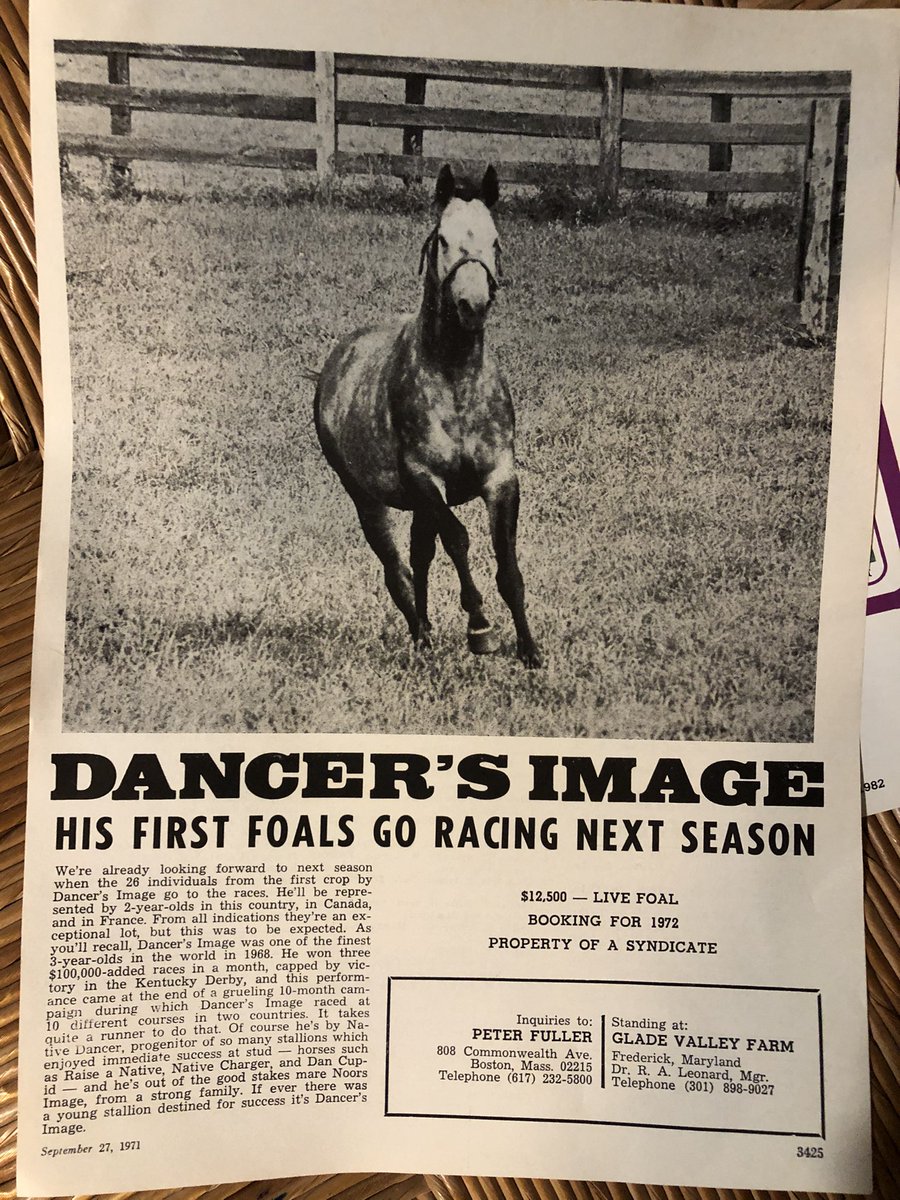 JackpotNick's tweet photo. His first foals were about “to go racing”...🏇🏿🏇🏿🏇🏿 dq’d Derby winner #DancersImage wound up in Japan later I believe. https://t.co/10F2UWkCBx