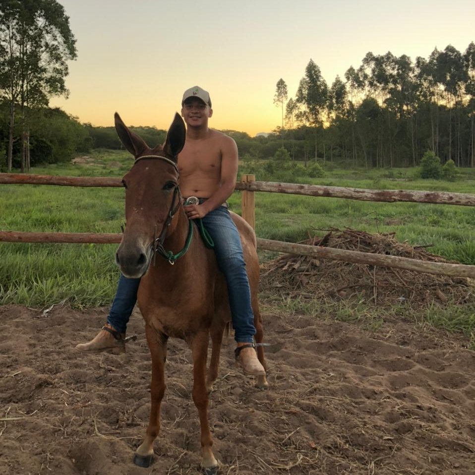 ParaibaSantos's tweet photo. Mundão bão 🥰🐎

#muares #madeinroça https://t.co/WQUB9YoBTp