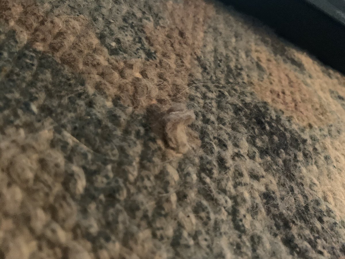 rcandmc's tweet photo. @potterybarn purchased a rug in January pulls like this all over and not in a high traffic area. Have tried to contact multiple times no response https://t.co/WZQQG8CKFC