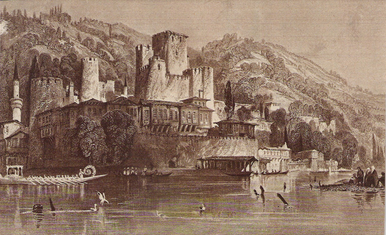 Beth Elliott tweet media