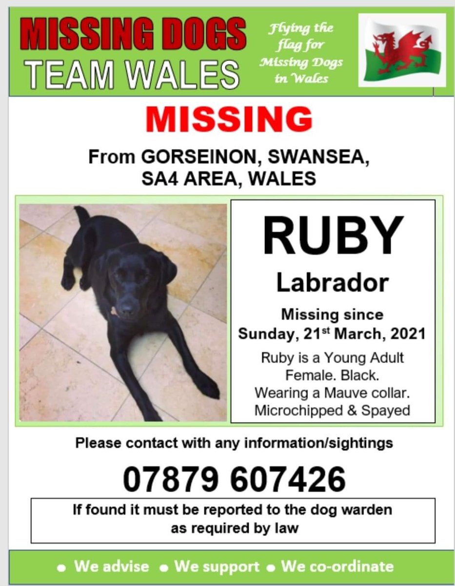 rosiedoc666's tweet photo. RUBY #missing #GORSEINON #SA4 #SWANSEA ๐บ๏ธSunday 21/3/21 ๐ฅ
SPAYED&CHIPPED/Mauve collar , last seen #Grovesend area near #Valeo ๐ฅPls call number on poster if sighted asap๐ฅTY
https://t.co/Ofglj7EUiw
@AlanDaffern @mazzy1412 @RachaelB100 @bs2510 @gelert01 @Anthony_Bailey_ https://t.co/Ef6qPV6SZj