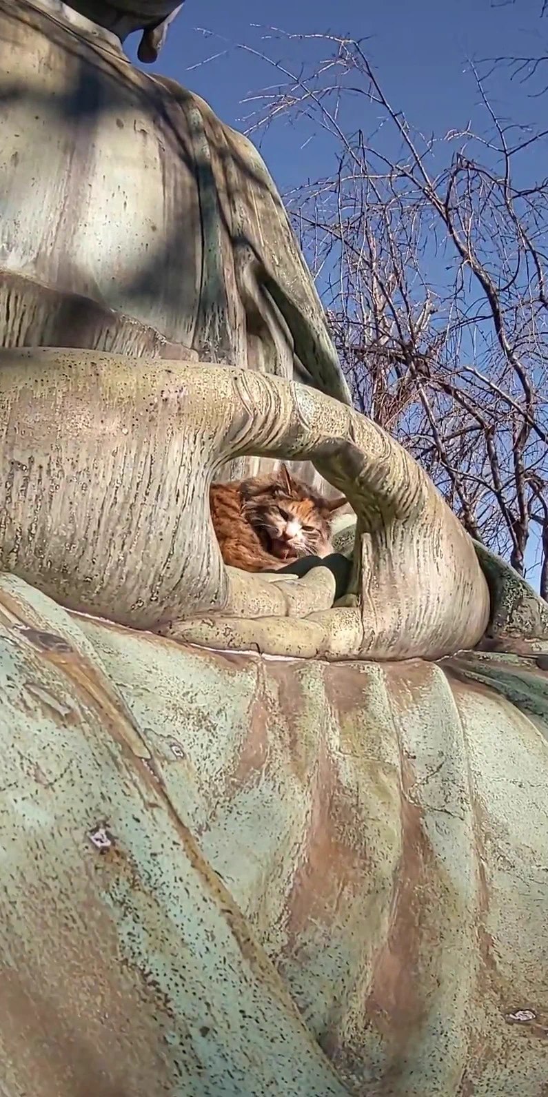 大仏様の手の中は絶対安全！猫が選んだ安全地帯