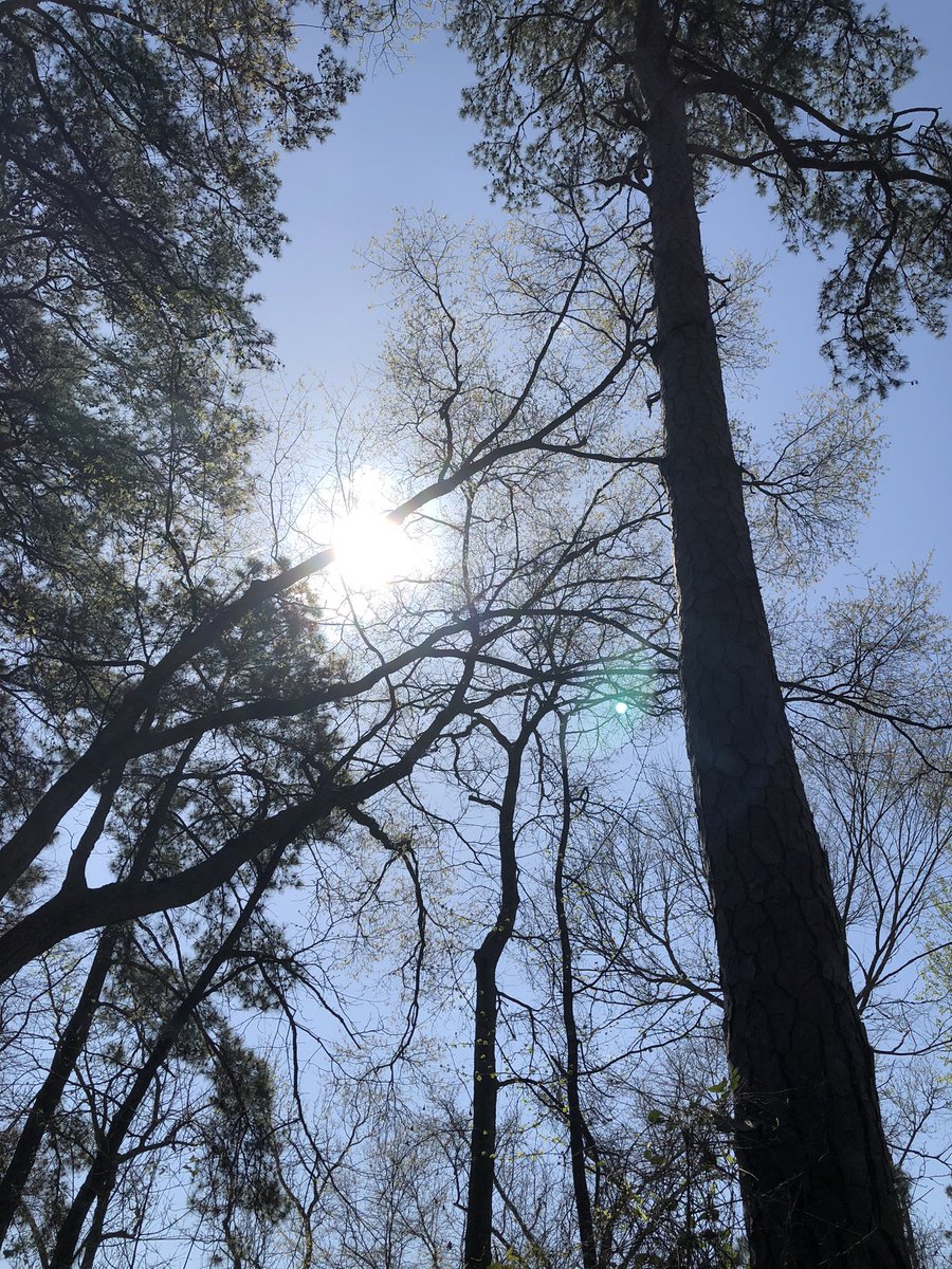 doctorpemm's tweet photo. Just back from a lovely family day trip to #HuntsvilleStatePark here in #Texas ! Highly recommend this #hiddengem || Supporting our #TexasStateParks #HematologistsInNature #StopAndSmellTheRoses #CarpeDiem https://t.co/KzTxMiBh2B