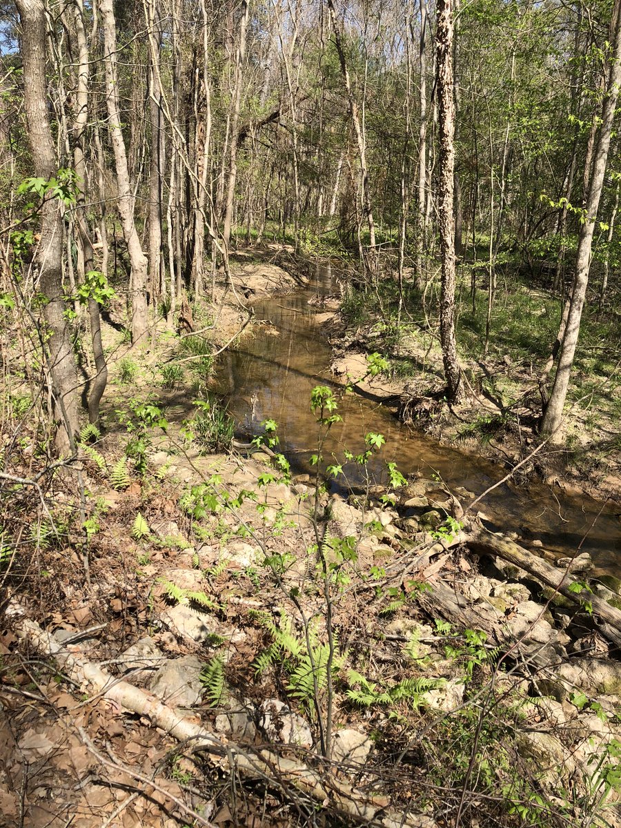doctorpemm's tweet photo. Just back from a lovely family day trip to #HuntsvilleStatePark here in #Texas ! Highly recommend this #hiddengem || Supporting our #TexasStateParks #HematologistsInNature #StopAndSmellTheRoses #CarpeDiem https://t.co/KzTxMiBh2B