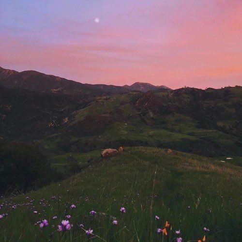 versacesbish's tweet image. no offense but i deserve to be here