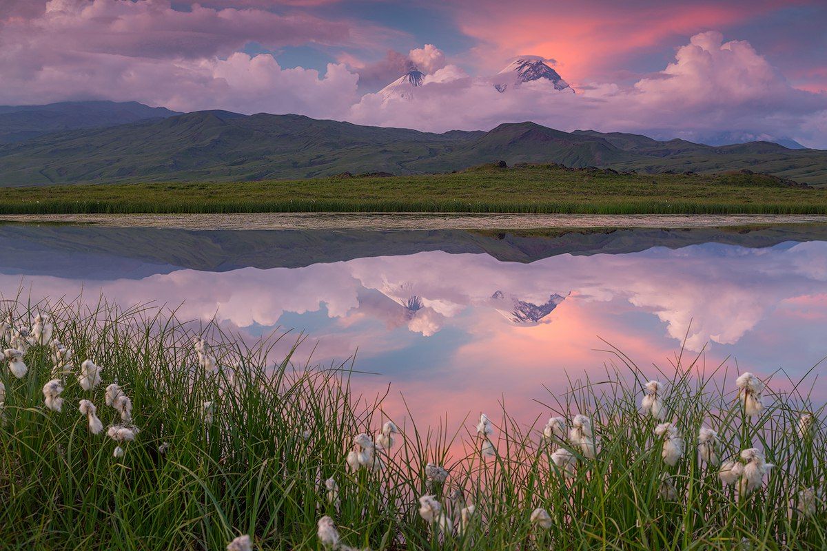 versacesbish's tweet image. no offense but i deserve to be here