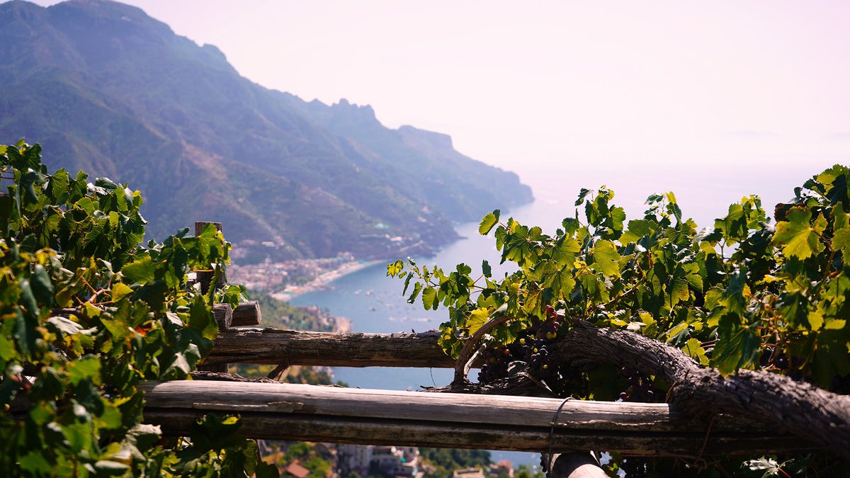 universdesimag1's tweet photo. #amalfi #Amalfi #coast #italia #italiano #Italy #campania #travelphotography #travelgram #photooftheday #photographer #moodygrams #SummerVibes #explore  @giroditalia @Italia @in_amalficoast @campaniawines @w_aroundItaly @universdesimag1 https://t.co/MmoYY1yxth
