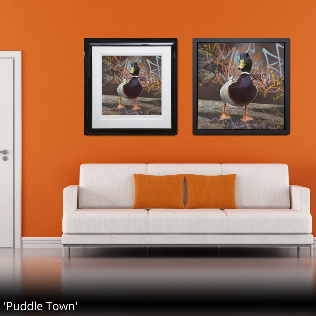 🦆Looking rather wet and dripping after the recent rainfall, Charlie stands amidst some interesting reflections in the puddle that captures the graffiti strewn wall, on a canal-side towpath.

- bit.ly/PuddleTown -