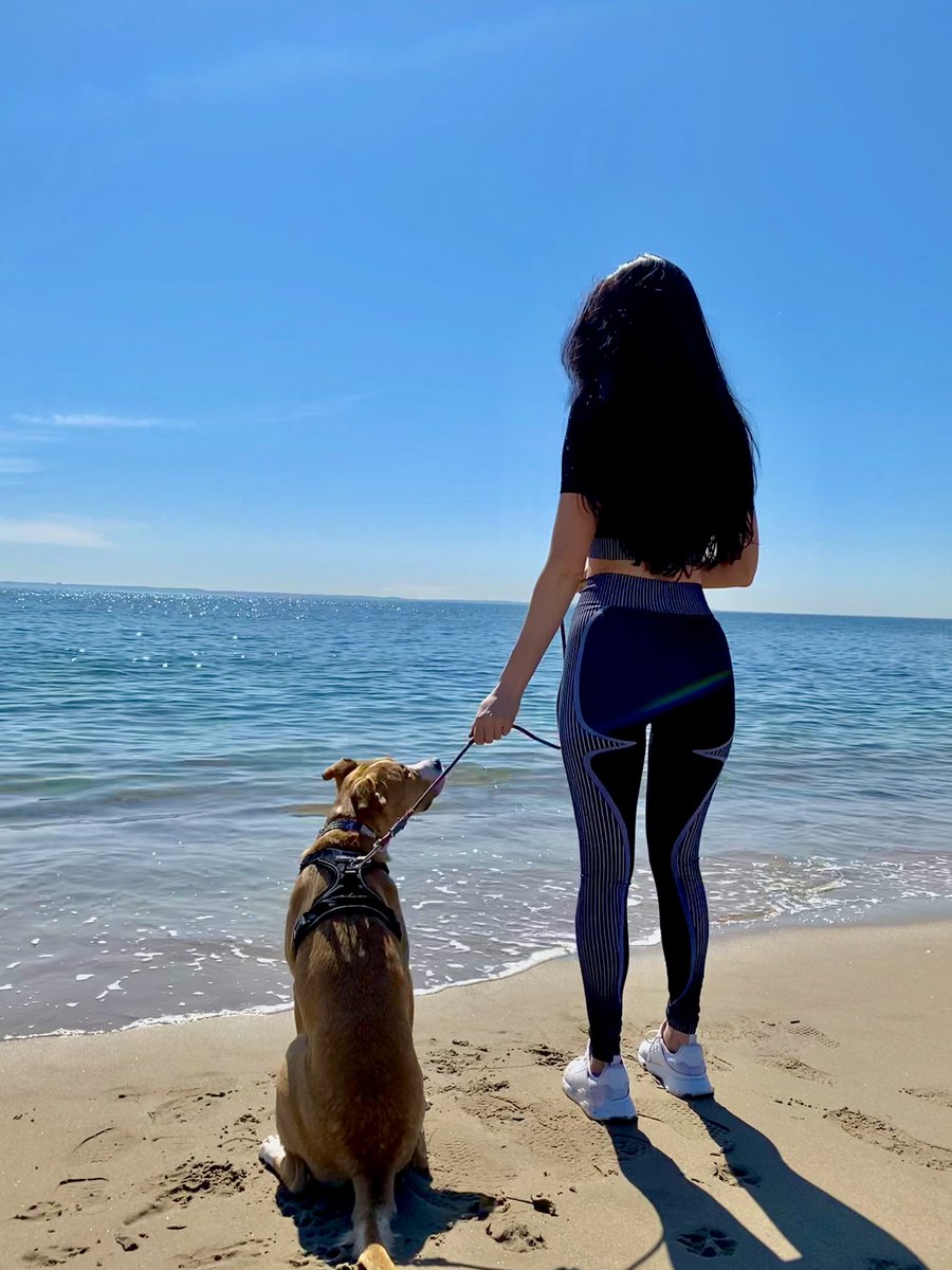EmilyTFord's tweet photo. Puppy day 🦋 https://t.co/ipOo6Jpa1m
