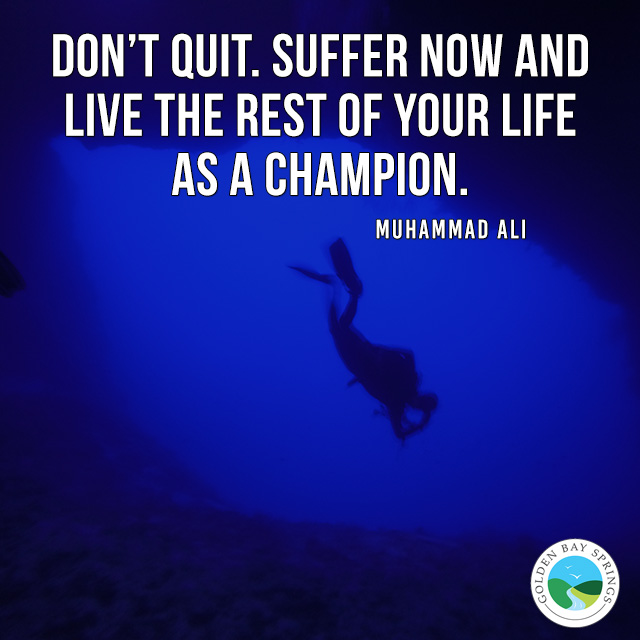 BiteMeTonic's tweet photo. Bite Me brings you Motivational Mondays #motivation #health #applecidervinegar #natural #fitnessmotivation #fitness  #fitnessgirl #manukahoney https://t.co/YdCSwNU9aZ