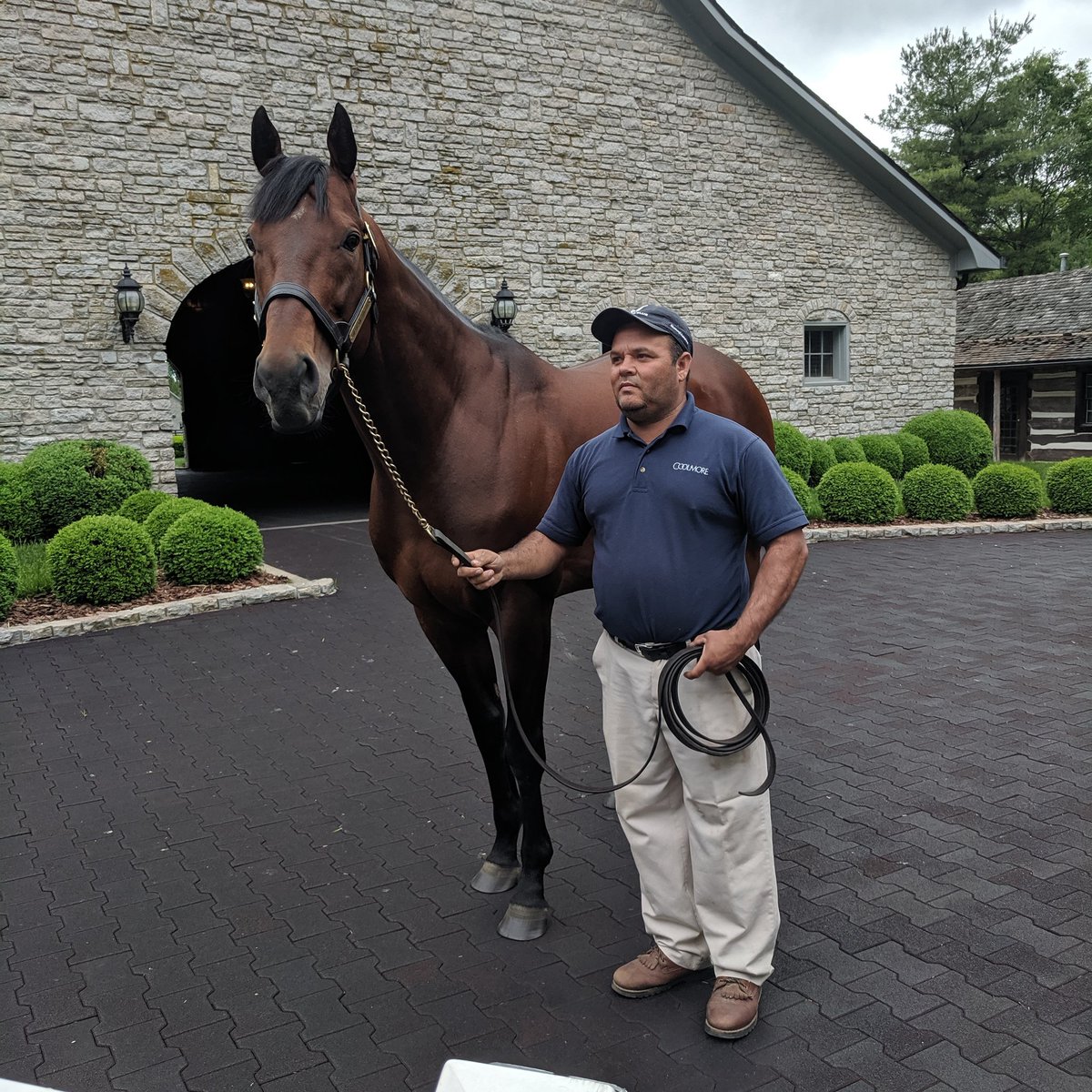 Jennifer S. Kelly tweet media