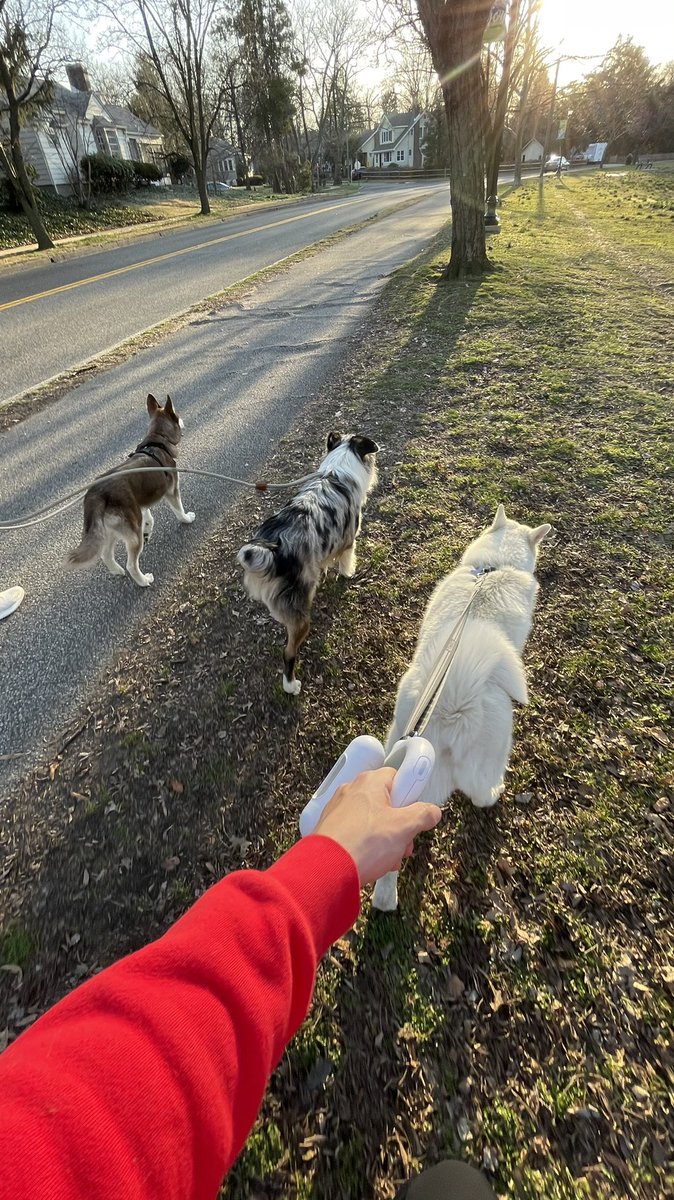 MyNameJeifry's tweet photo. Nice walk at the park ☺️ https://t.co/BiFCh80a7L