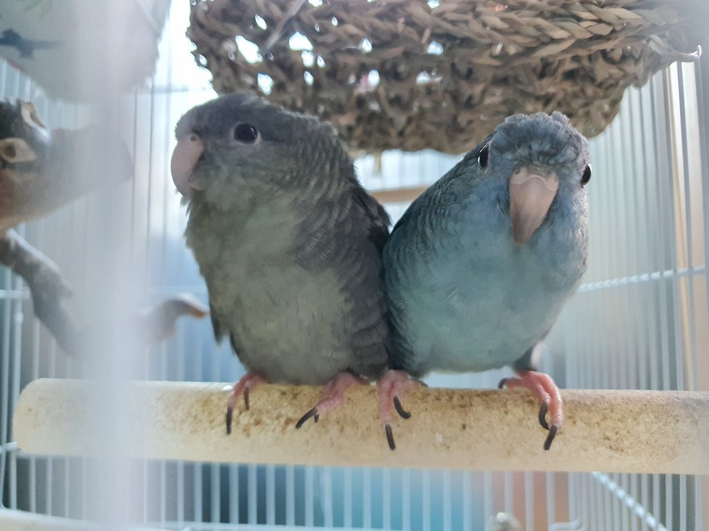 ?? 