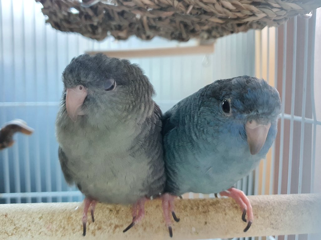 ?? 